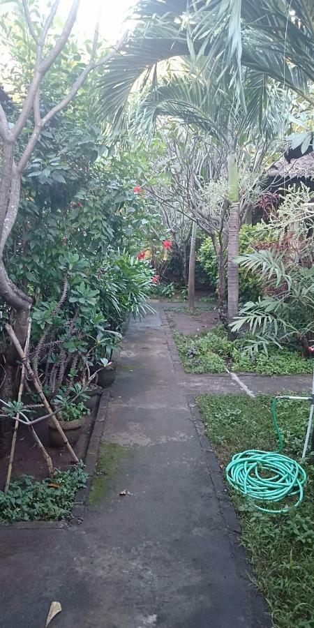 Aldi * Amed